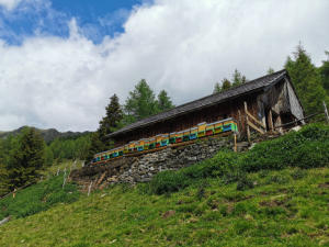 Lehrbienenstand auf der Alm